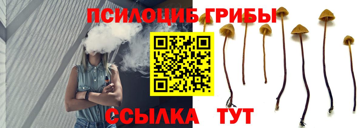 Псилоцибиновые грибы мухоморы Владивосток